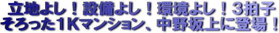 logo_root(581-74).jpg